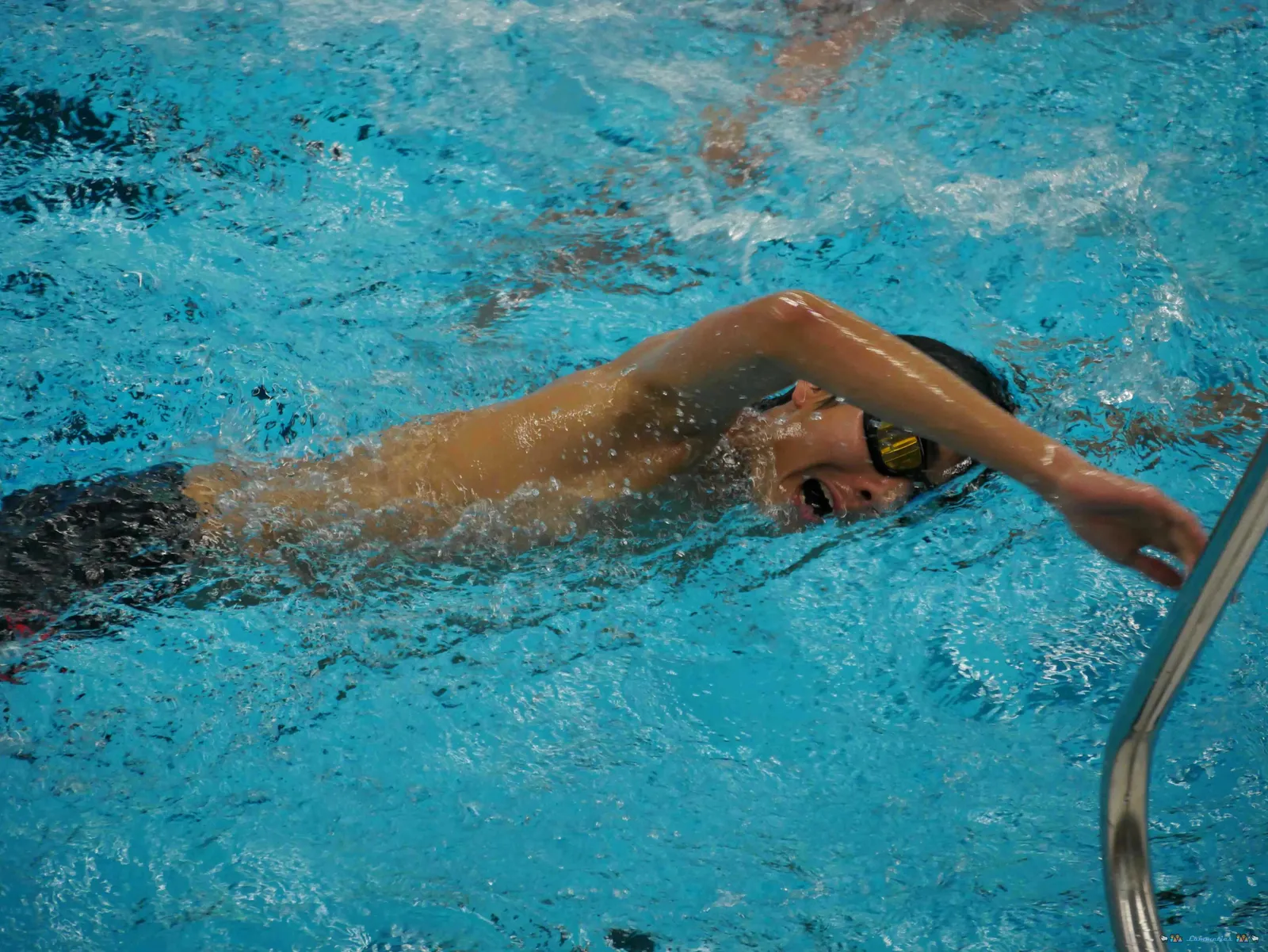 Sam swimming freestyle in a pool
